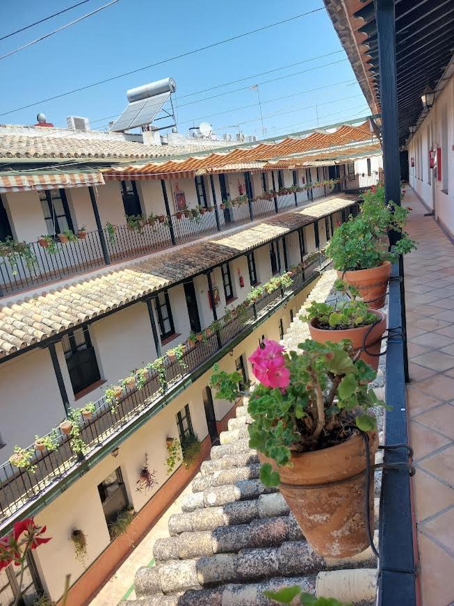 Patio Cartuja Apartment Севиля Екстериор снимка
